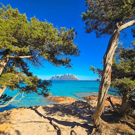 Villino Caddu San Teodoro (Sardinia)
